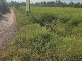  Grundstück zu verkaufen in Maha Chana Chai, Yasothon, Fa Yat, Maha Chana Chai, Yasothon