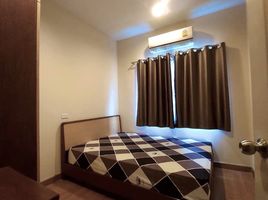 4 Bedroom Townhouse for rent at Golden Town 2 Onnut-Pattanakarn, Prawet