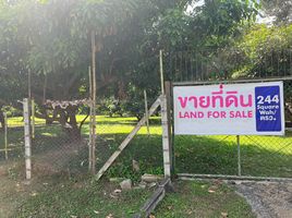  Grundstück zu verkaufen in San Sai, Chiang Mai, Nong Chom