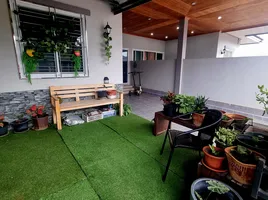 2 Schlafzimmer Haus zu verkaufen in Mueang Surat Thani, Surat Thani, Wat Pradu, Mueang Surat Thani