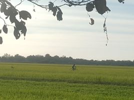  Grundstück zu verkaufen in Bang Nam Priao, Chachoengsao, Bang Khanak, Bang Nam Priao, Chachoengsao