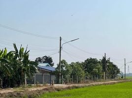 ขายที่ดิน ใน หนองเสือ ปทุมธานี, บึงบอน, หนองเสือ, ปทุมธานี, ไทย