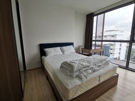 1 Schlafzimmer Appartement zu vermieten im Hasu Haus, Phra Khanong Nuea