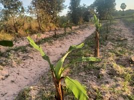  Grundstück zu verkaufen in Phayakkhaphum Phisai, Maha Sarakham, Mek Dam