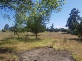  Land for sale at Santo Domingo, Santo Domingo