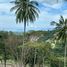  Land for sale in Koh Samui, Maenam, Koh Samui