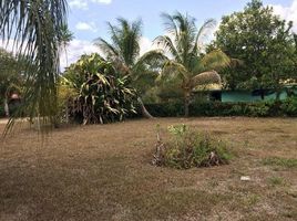  Land for sale in Alajuela, San Carlos, Alajuela