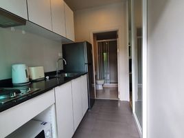 1 Schlafzimmer Wohnung zu vermieten im The Base Downtown, Wichit, Phuket Town