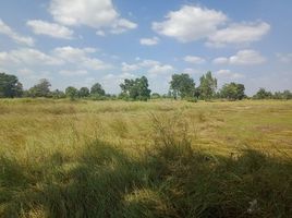  Land for sale in Khok Pho Chai, Khon Kaen, Pho Chai, Khok Pho Chai