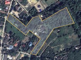  Land for sale in Prachuap Khiri Khan, Pran Buri, Pran Buri, Prachuap Khiri Khan