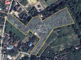  Land for sale in Pran Buri Hospital, Wang Phong, Pran Buri