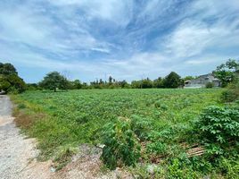  Land for sale in Rayong, Huai Pong, Mueang Rayong, Rayong