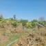  Land for sale in Kantharawichai Maha Sarakham, Si Suk, Kantharawichai