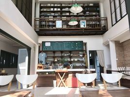 6 Schlafzimmer Haus zu verkaufen in Mueang Chiang Mai, Chiang Mai, Suthep, Mueang Chiang Mai, Chiang Mai