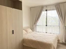 Studio Wohnung zu vermieten im Dcondo Reef Phuket, Kathu, Kathu