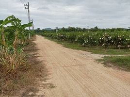  Land for sale in Ratchaburi, Ban Kha, Ban Kha, Ratchaburi