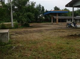  Land for sale in Ban Ueang, Si Songkhram, Ban Ueang