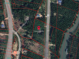  Grundstück zu verkaufen in Mueang Chumphon, Chumphon, Hat Phan Krai
