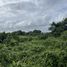  Land for sale in Royal Phuket Marina, Ko Kaeo, Ko Kaeo