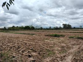  Land for sale in Chiang Kham, Phayao, Nam Waen, Chiang Kham