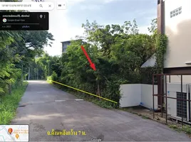 ขายที่ดิน ใน สันทราย เชียงใหม่, หนองจ๊อม, สันทราย