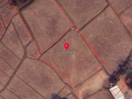  Land for sale in Tha Bo, Nong Khai, Tha Bo, Tha Bo