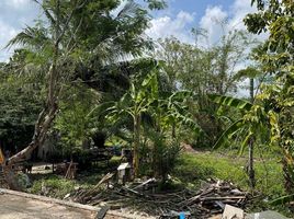  Grundstück zu verkaufen in Huai Yot, Trang, Huai Yot