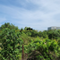  Land for sale in Cordova, Central Visayas, Cordova