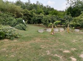  Land for sale in Kalasin, Sahatsakhan, Sahatsakhan, Kalasin