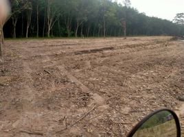  Land for sale in Nong Yai, Chon Buri, Nong Yai, Nong Yai