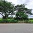  Land for sale in San Sai, Chiang Mai, Nong Chom, San Sai