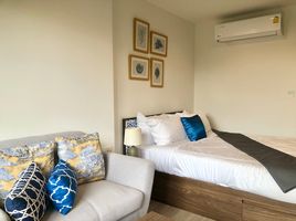 1 Bedroom Apartment for rent at THE BASE Central Phuket, Wichit, Phuket Town