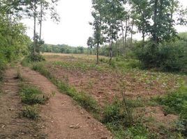  Land for sale in Nikhom Phatthana, Mueang Lampang, Nikhom Phatthana