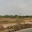  Land for sale in Kalasin, Yang Talat, Yang Talat, Kalasin