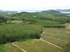  Land for sale in Thep Krasattri, Thalang, Thep Krasattri