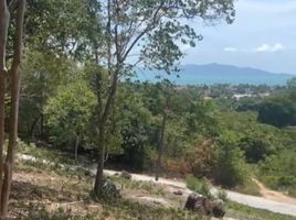  Land for sale in Surat Thani, Bo Phut, Koh Samui, Surat Thani