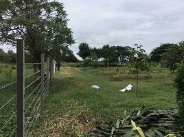  Grundstück zu verkaufen in Phanat Nikhom, Chon Buri, Mon Nang