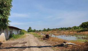 N/A Grundstück zu verkaufen in Na Mai, Pathum Thani 