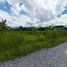  Land for sale in Mae Rim Chiang Mai, Don Kaeo, Mae Rim, Chiang Mai, Thailand