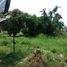  Grundstück zu verkaufen in Taphan Hin, Phichit, Ngio Rai