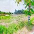  Land for sale in Nuea Khlong, Krabi, Pakasai, Nuea Khlong