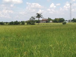  Grundstück zu verkaufen in Bang Nam Priao, Chachoengsao, Don Ko Ka