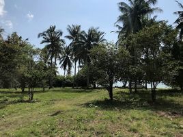  Land for sale in Surat Thani, Ban Tai, Ko Pha-Ngan, Surat Thani