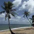  Land for sale in Sala Dan, Krabi, Sala Dan, Ko Lanta, Krabi
