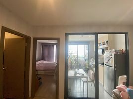 1 Bedroom Condo for sale at Ideo O2, Bang Na