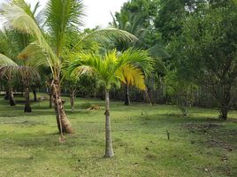  Grundstück zu verkaufen in Palawan, Mimaropa, Aborlan