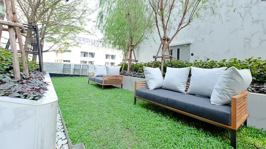 Photo 1 of the Communal Garden Area at The Room Phayathai