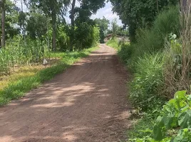  Grundstück zu verkaufen in Chakkarat, Nakhon Ratchasima, Si Lako