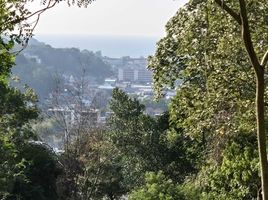  Land for sale in Kamala, Phuket, Kamala, Kathu, Phuket
