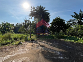  Land for sale in Krabi, Lam Thap, Lam Thap, Krabi